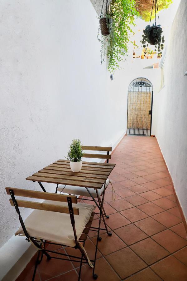 Appartamento Panoramico La Rosa Dei Venti - Maestrale Ischia Buitenkant foto