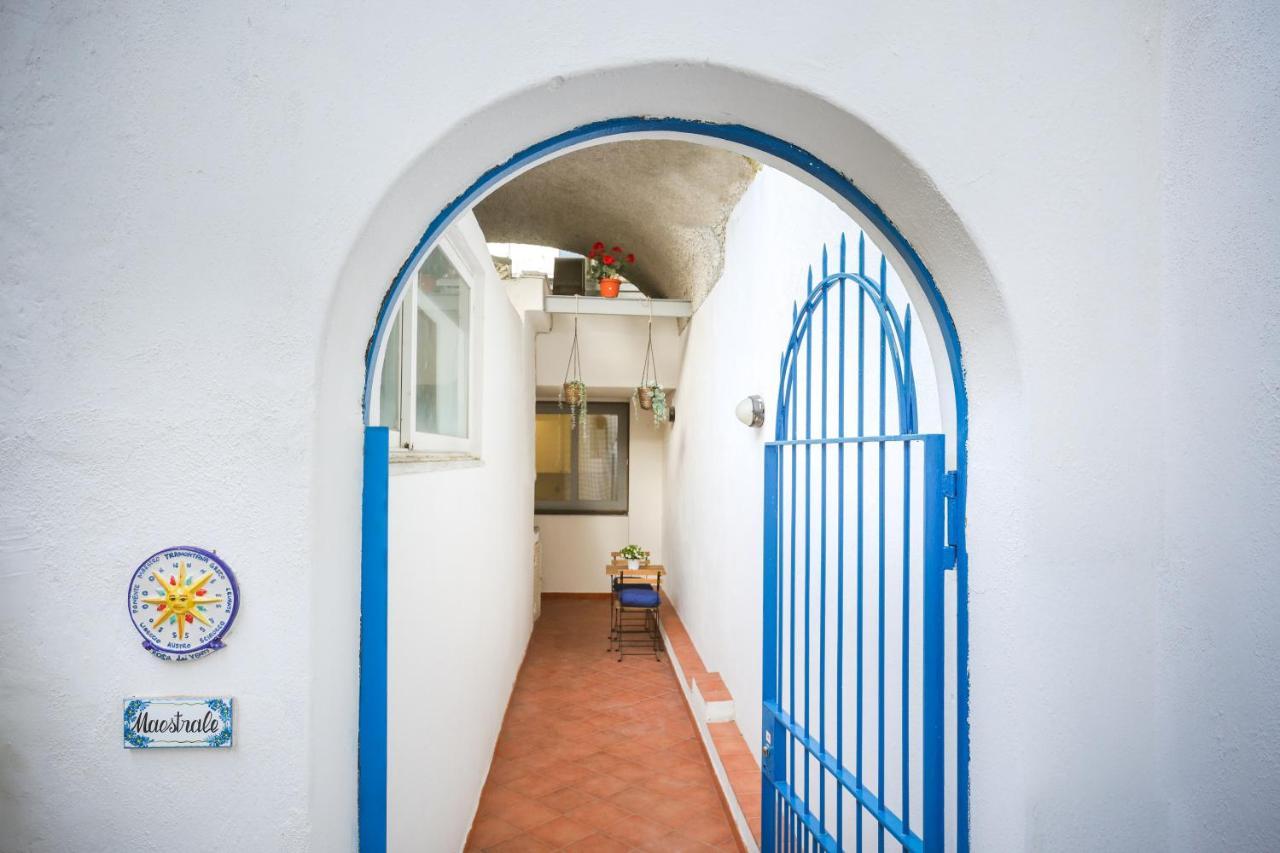 Appartamento Panoramico La Rosa Dei Venti - Maestrale Ischia Buitenkant foto